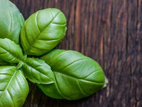 Masaj cu ulei de busuioc